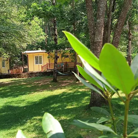 אתר נופש - Kamena