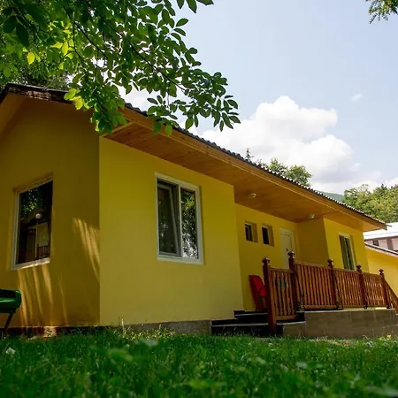 - * Камена